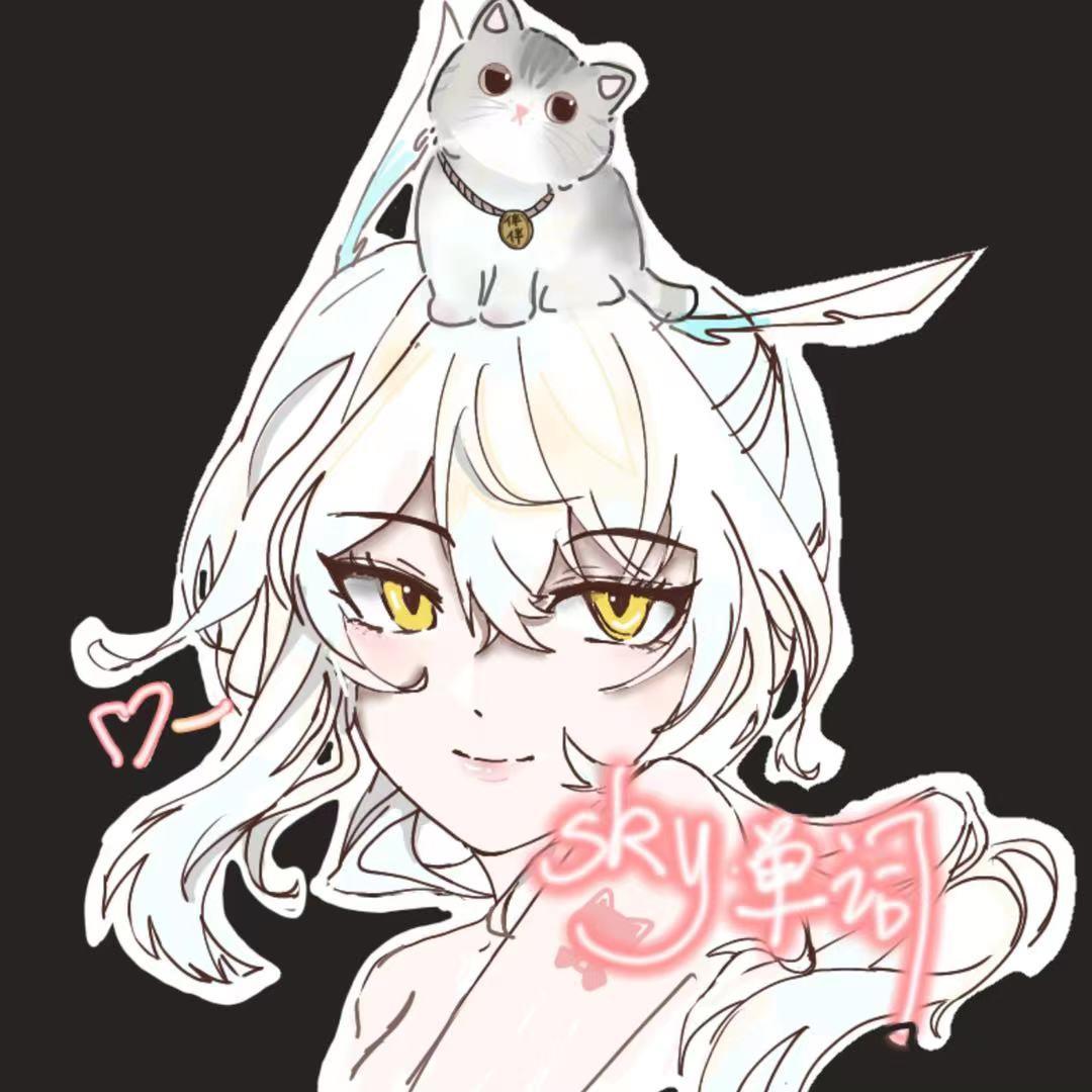 sky单词