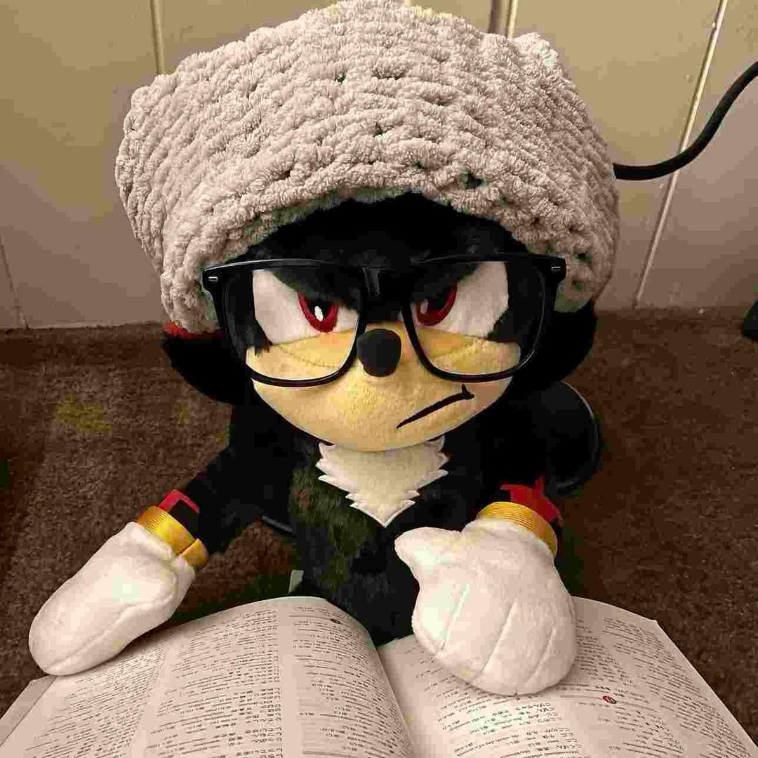 米饭依旧是一小碗🥣