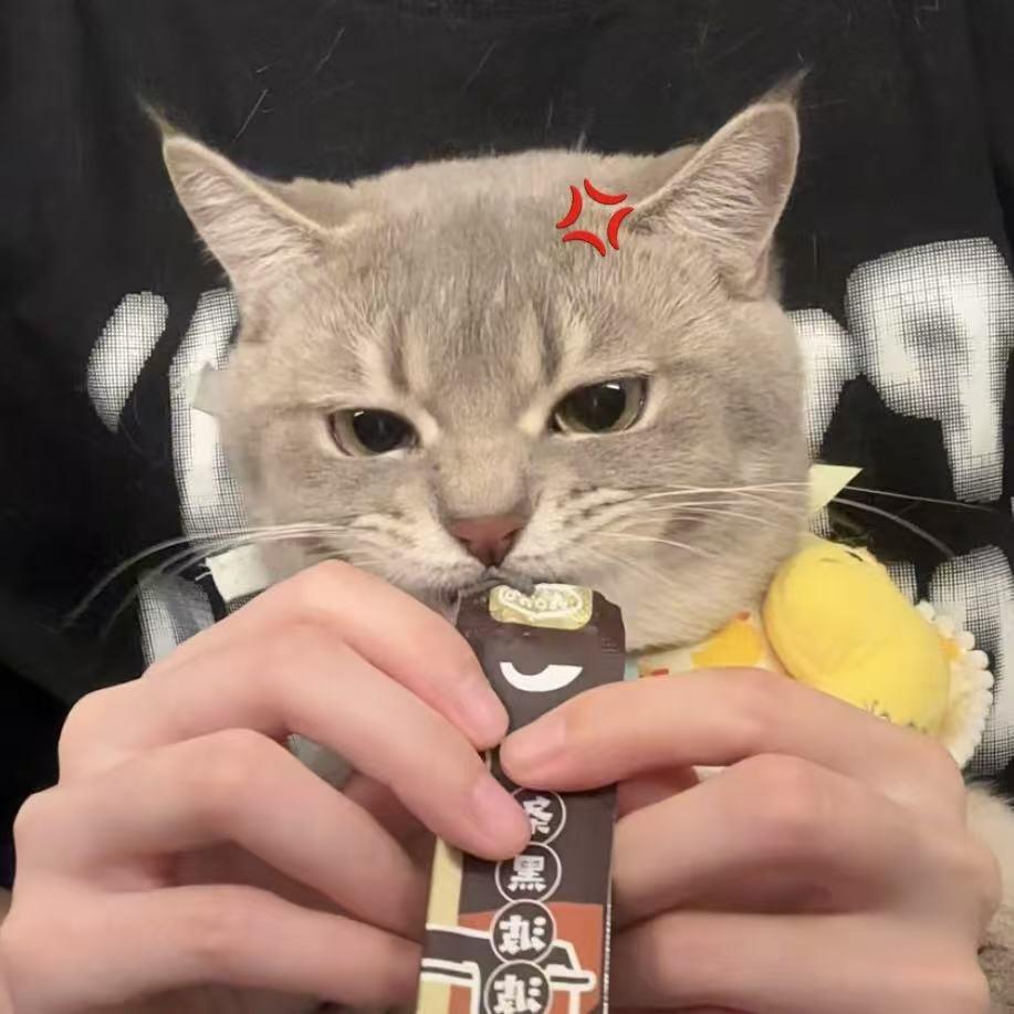 煤球崽汁