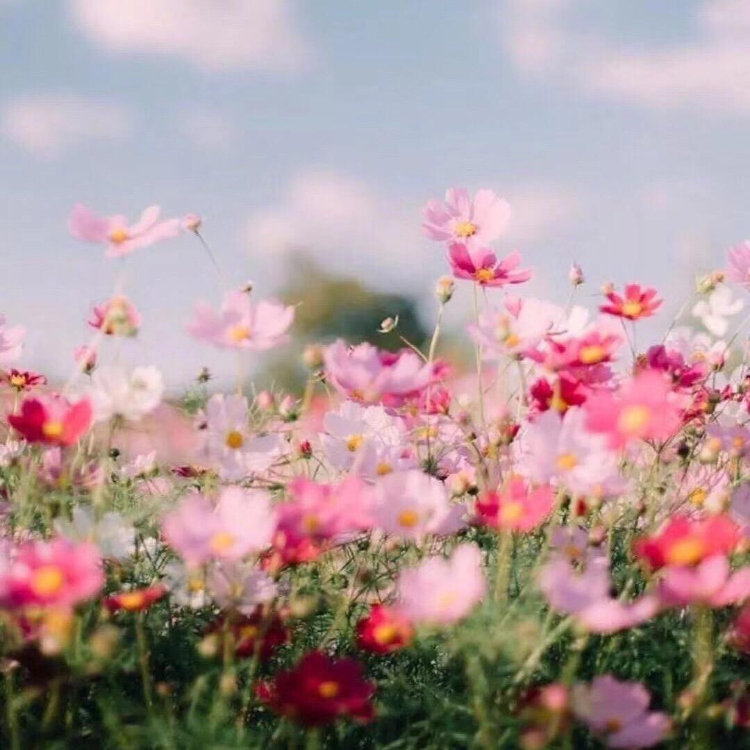 ：♡ۣۖิ 小泥鳅