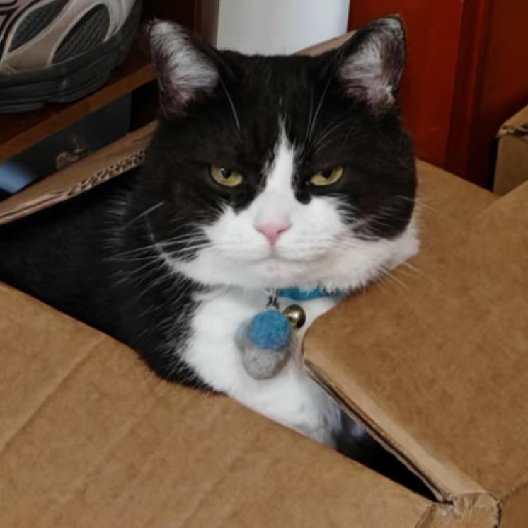 基诺浦专业儿童机能鞋