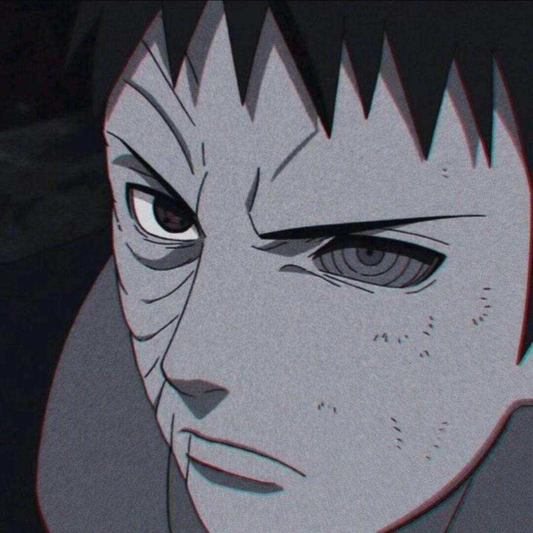 木和杉