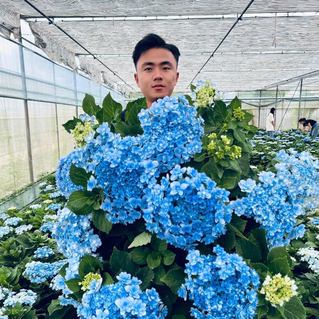 云润花田
