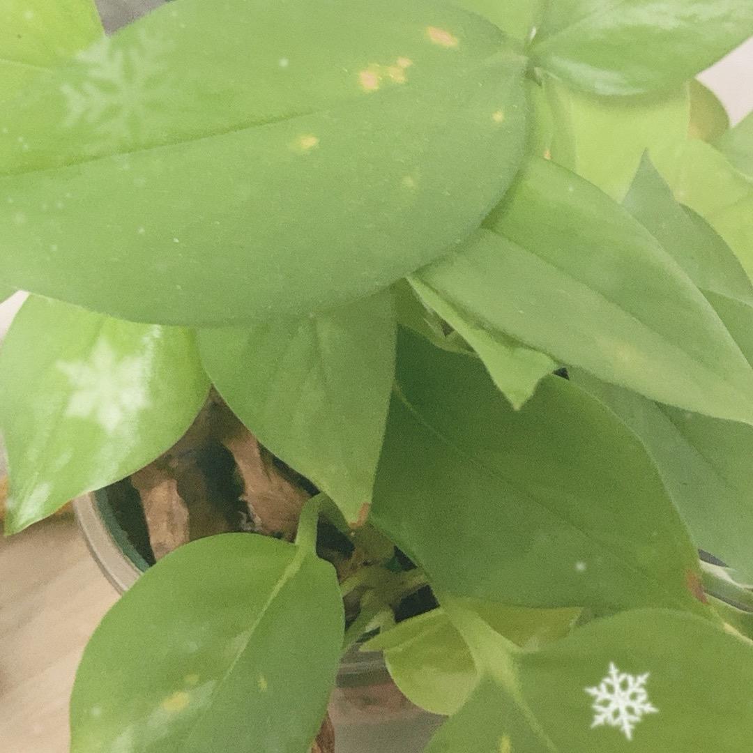 🌬️风
