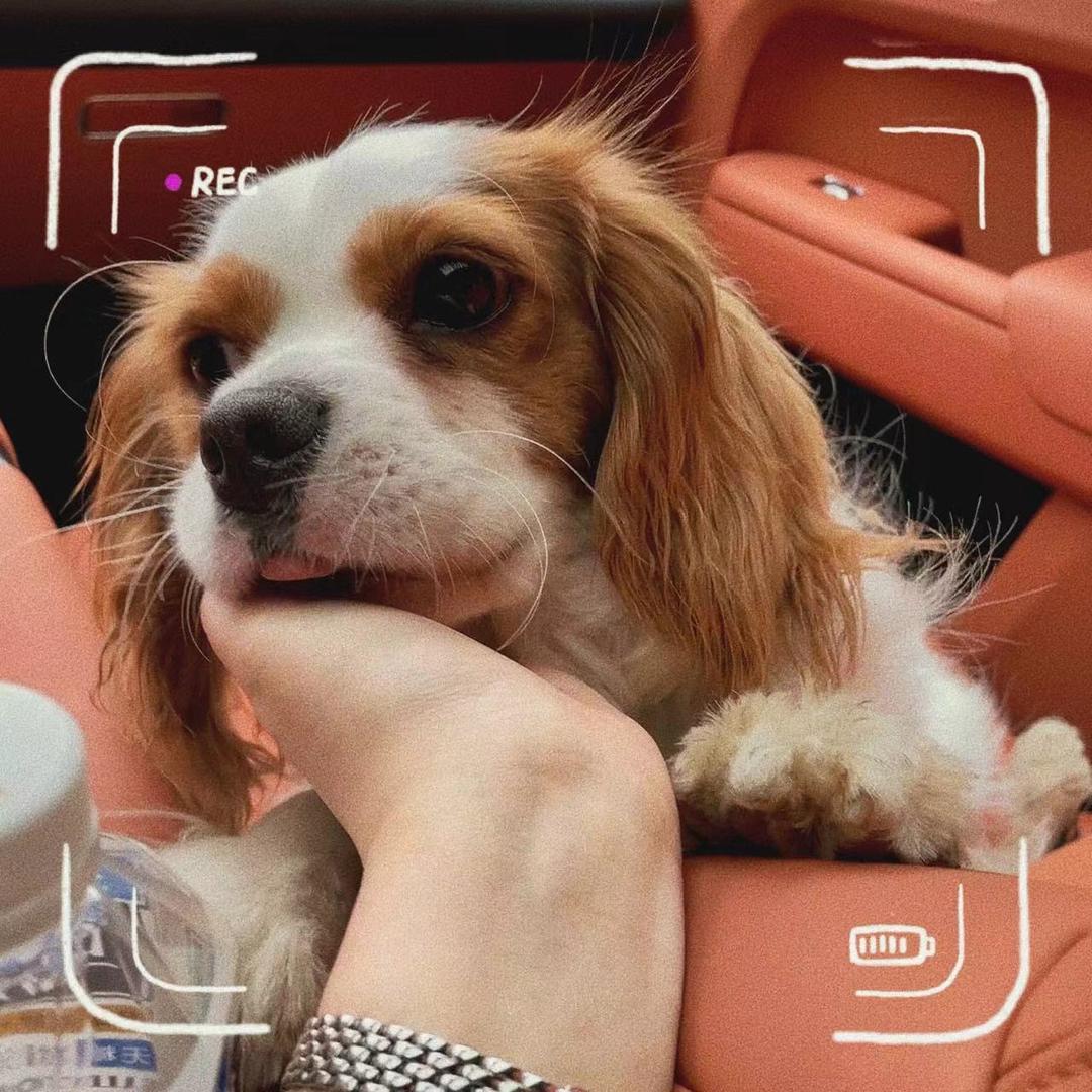 出门不带打火机