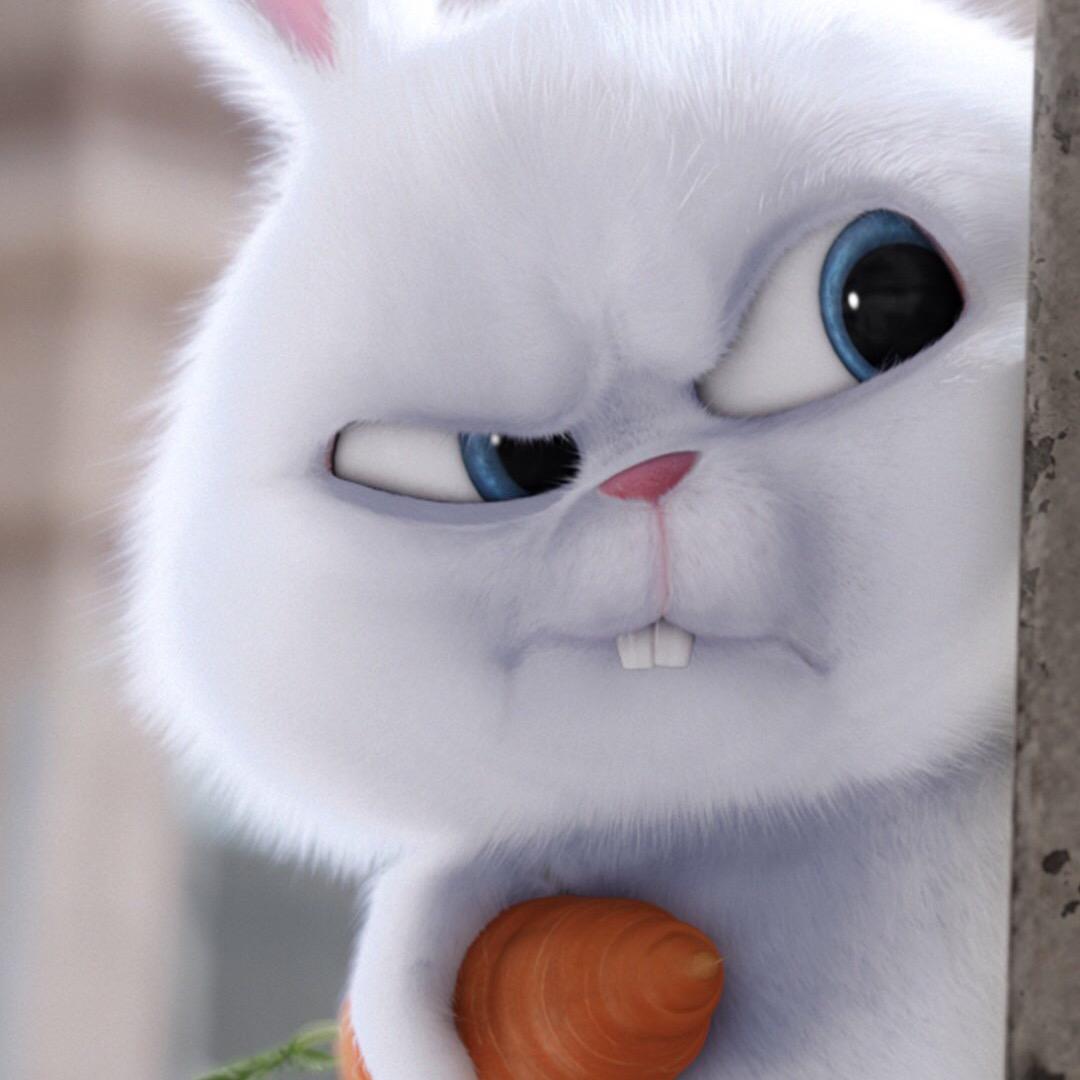 yy^_^