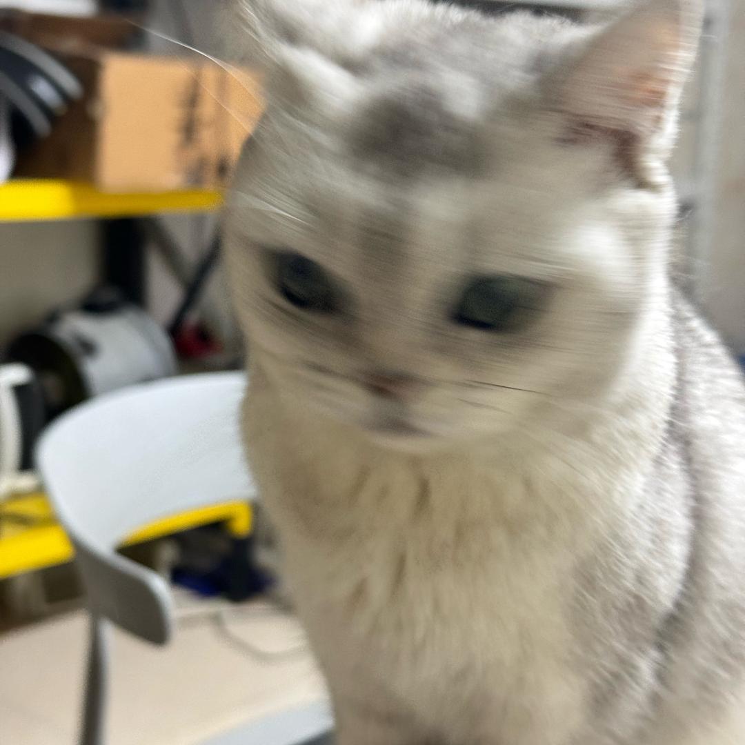 皮肤管理师晓芬