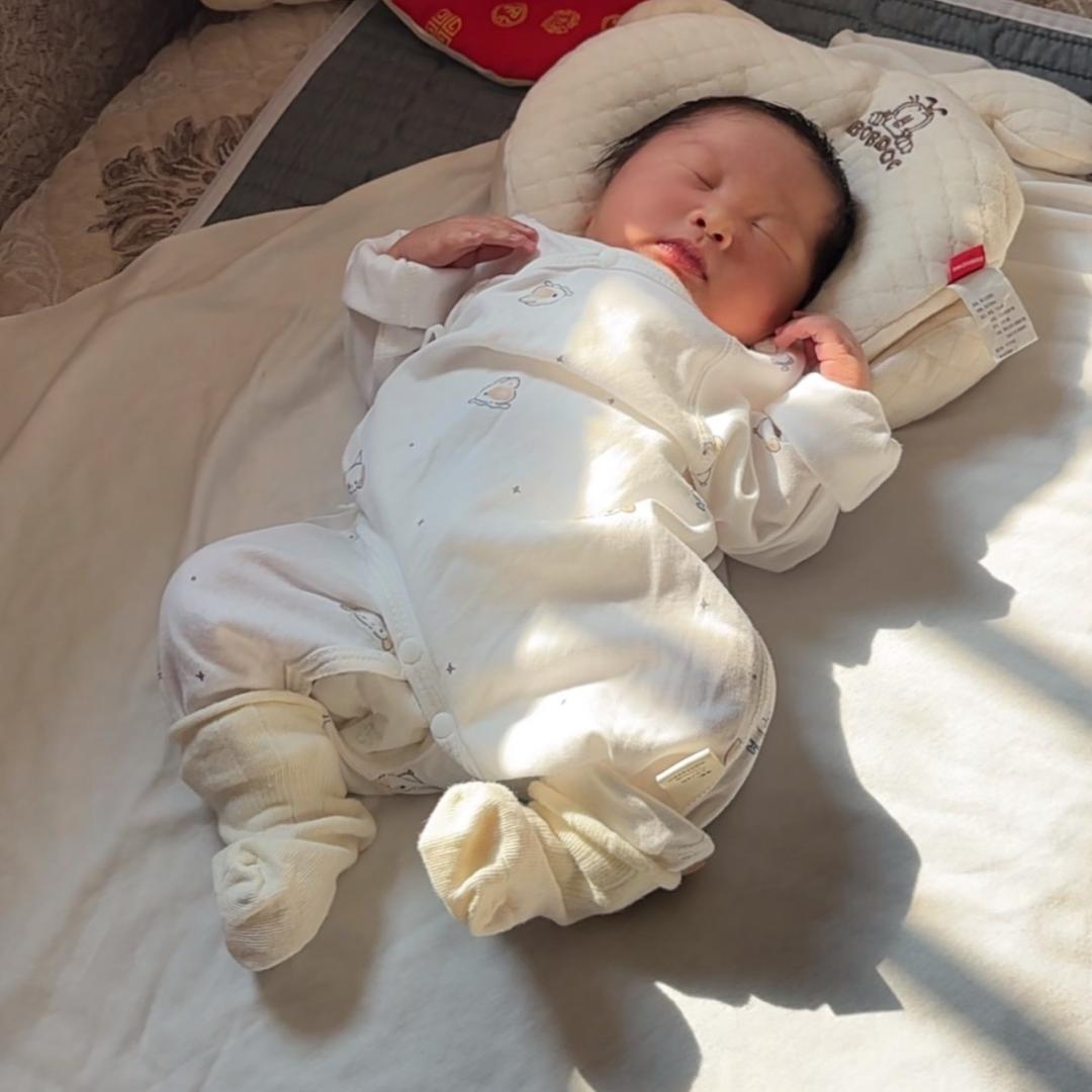 陕割🌾樊樊「安安」