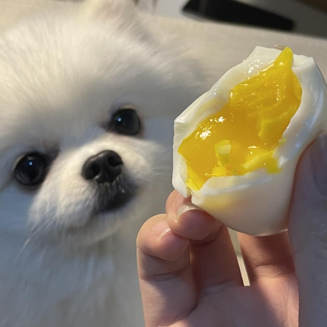wwwooo-