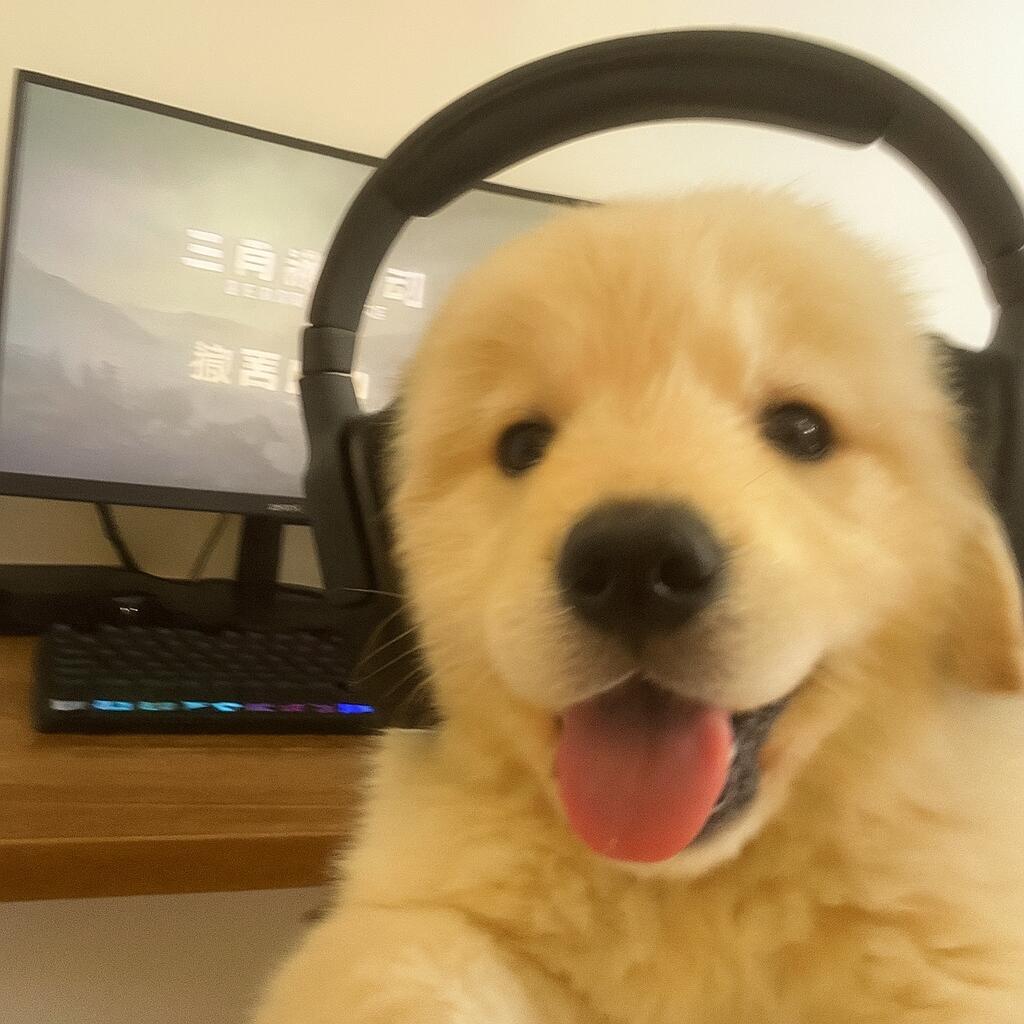 🍊1️⃣7️⃣（三角洲行动）