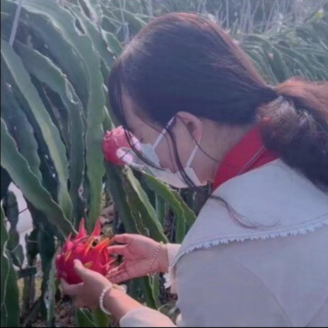 小李说植保（中迅西南）