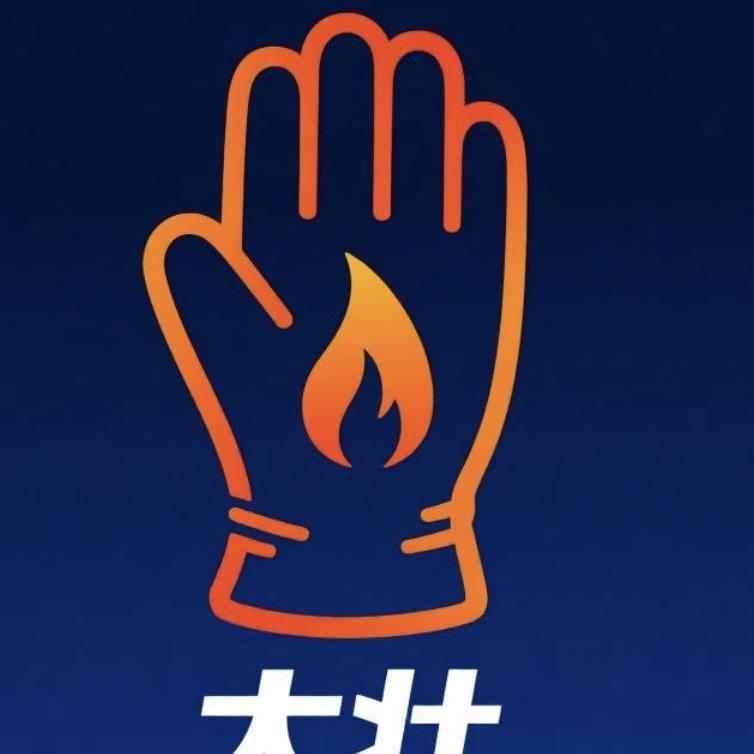 大壮 加热手套