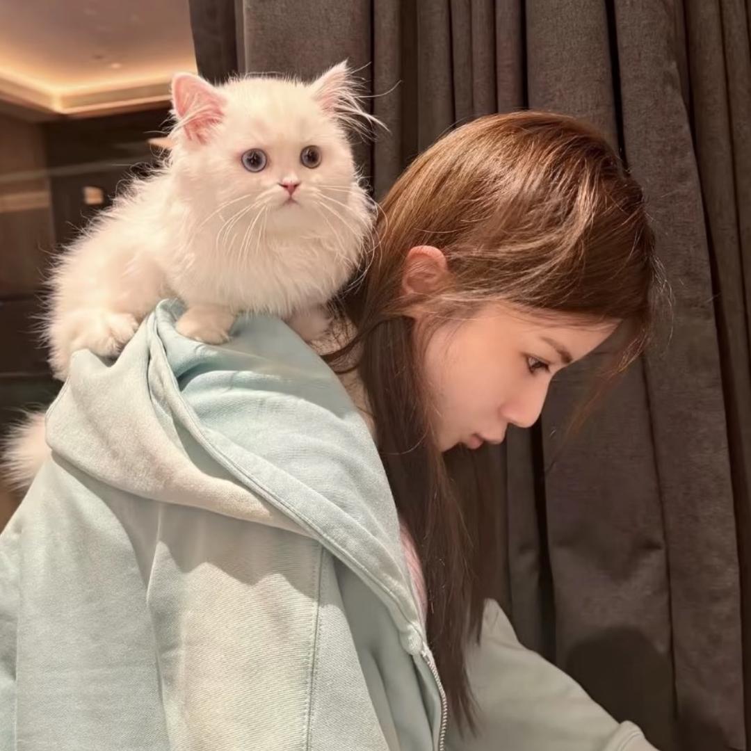 我睡觉的时候不困