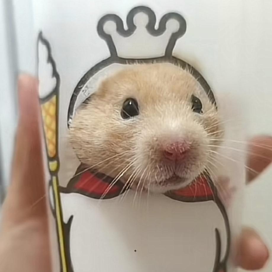 舟怀玉yu