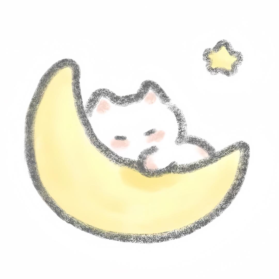 流泪的小薯条✨