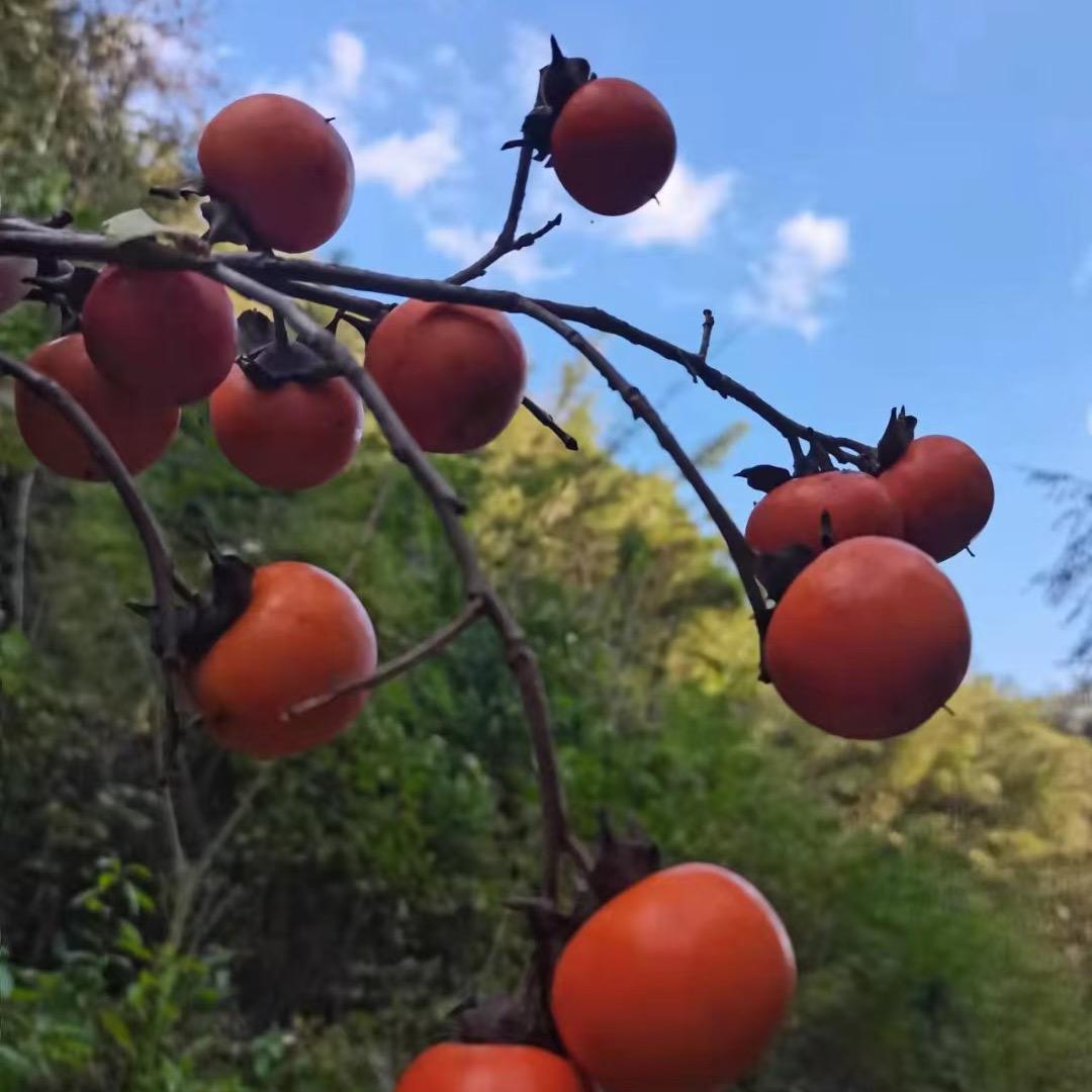 @农家山货