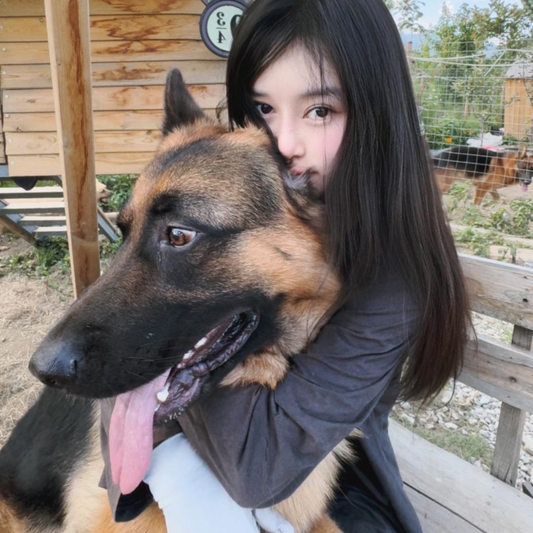 悦悦与牧羊犬