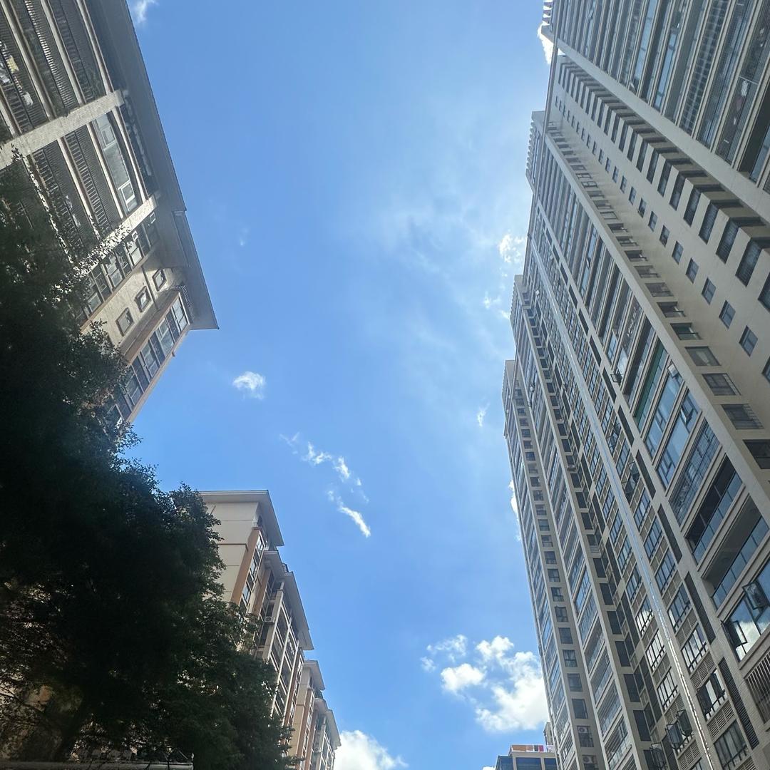 轩宇