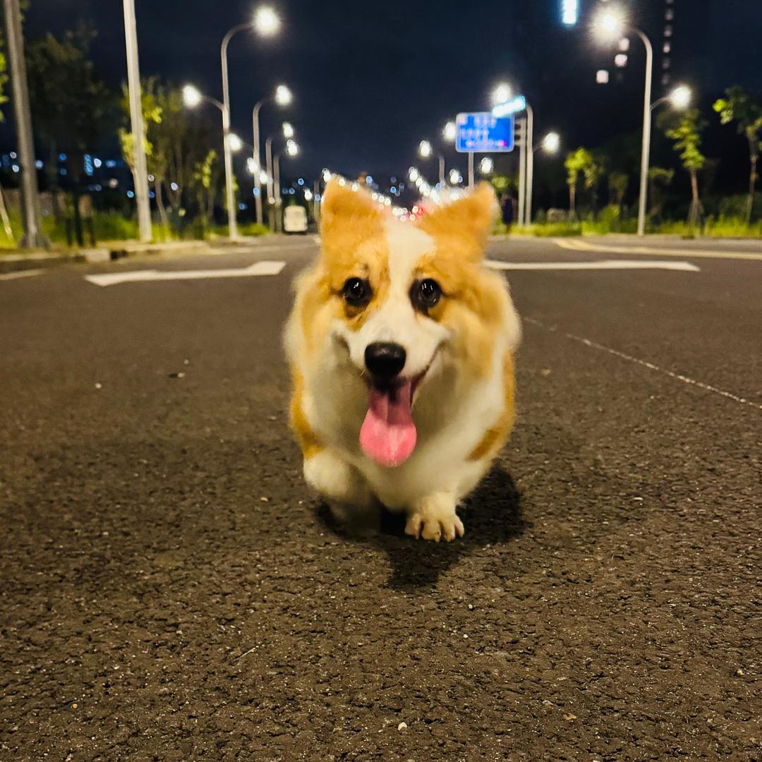 搁浅