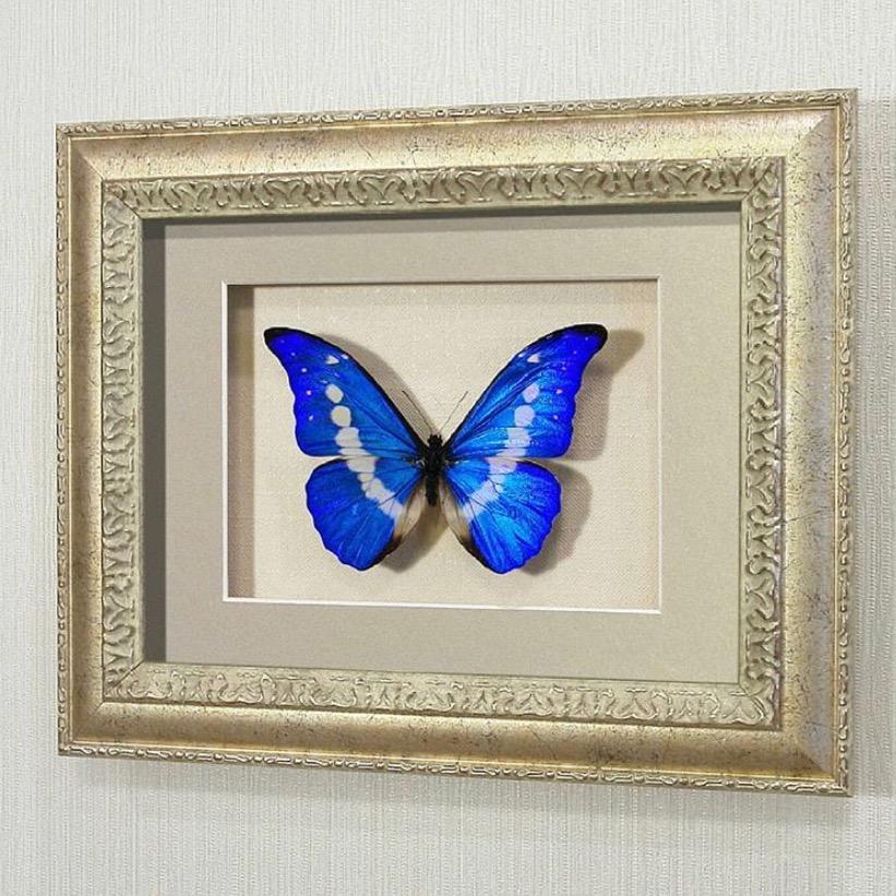 减肥不难我已经减很多次了