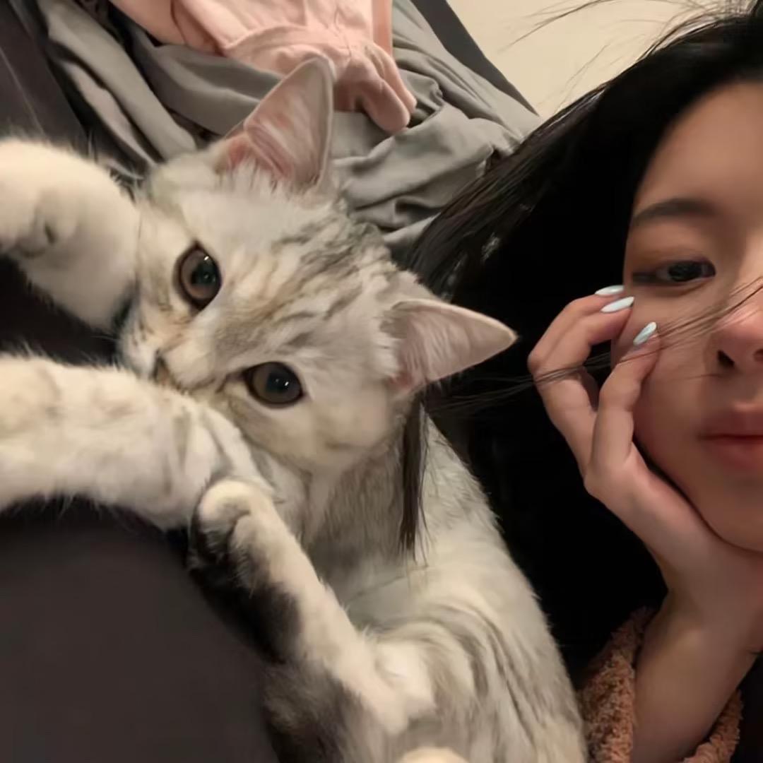 仁心.