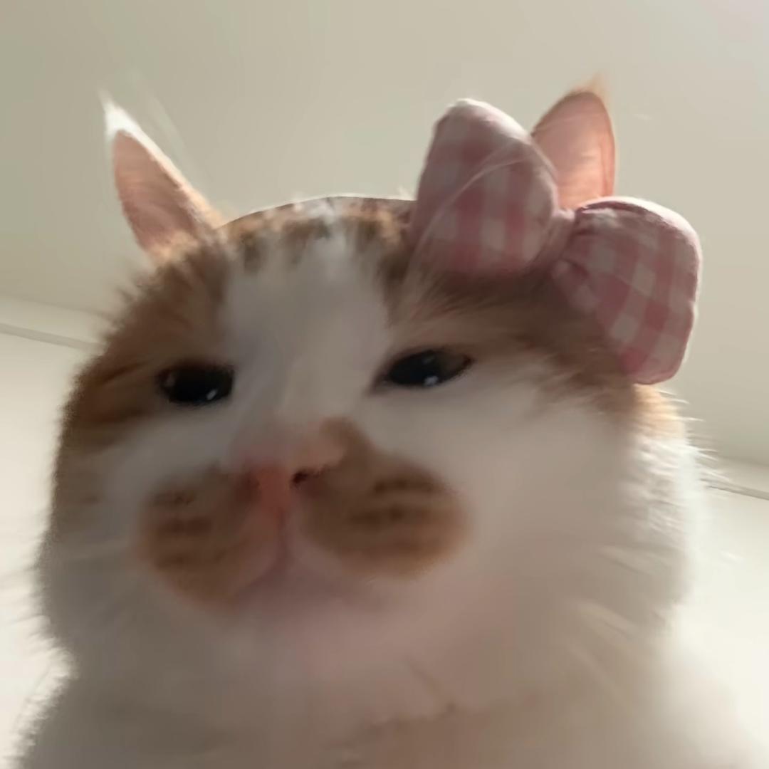 ᅠᅠᅠᅠᅠkikyo