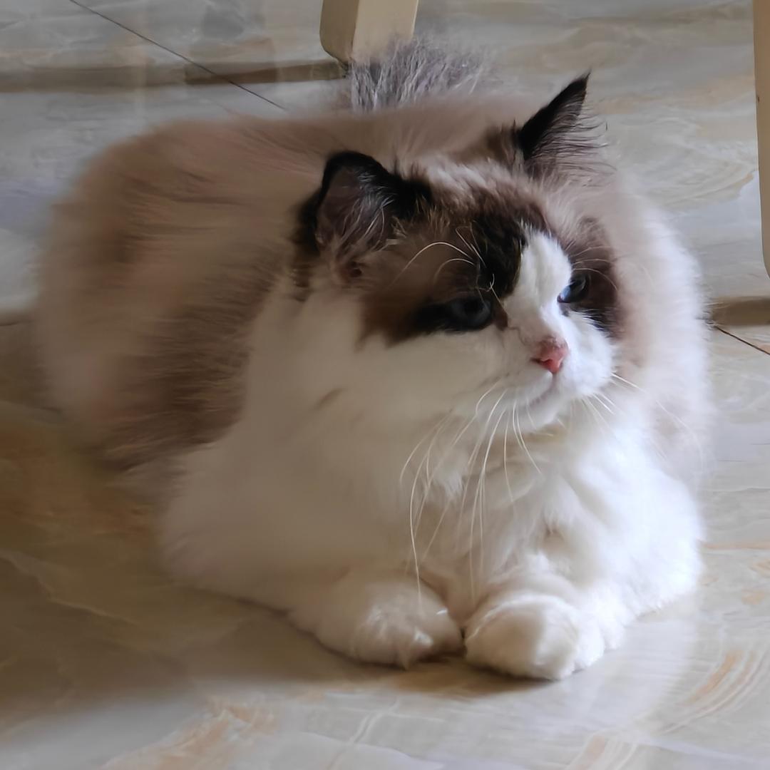 姒4.