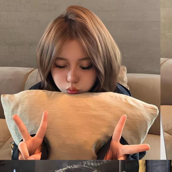 莹莹好困💤