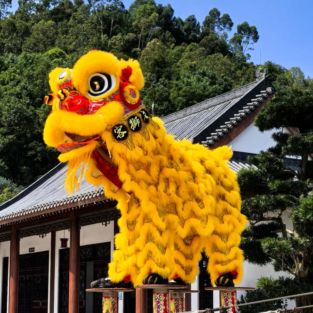 梅州客狮文化志超龍狮團