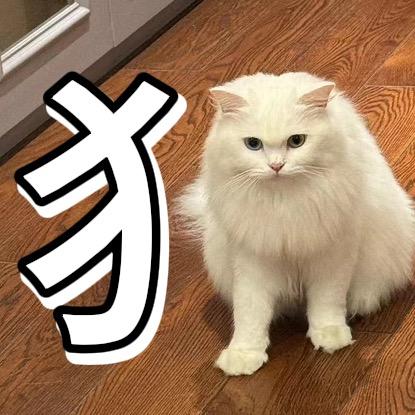 丝瓜甜甜