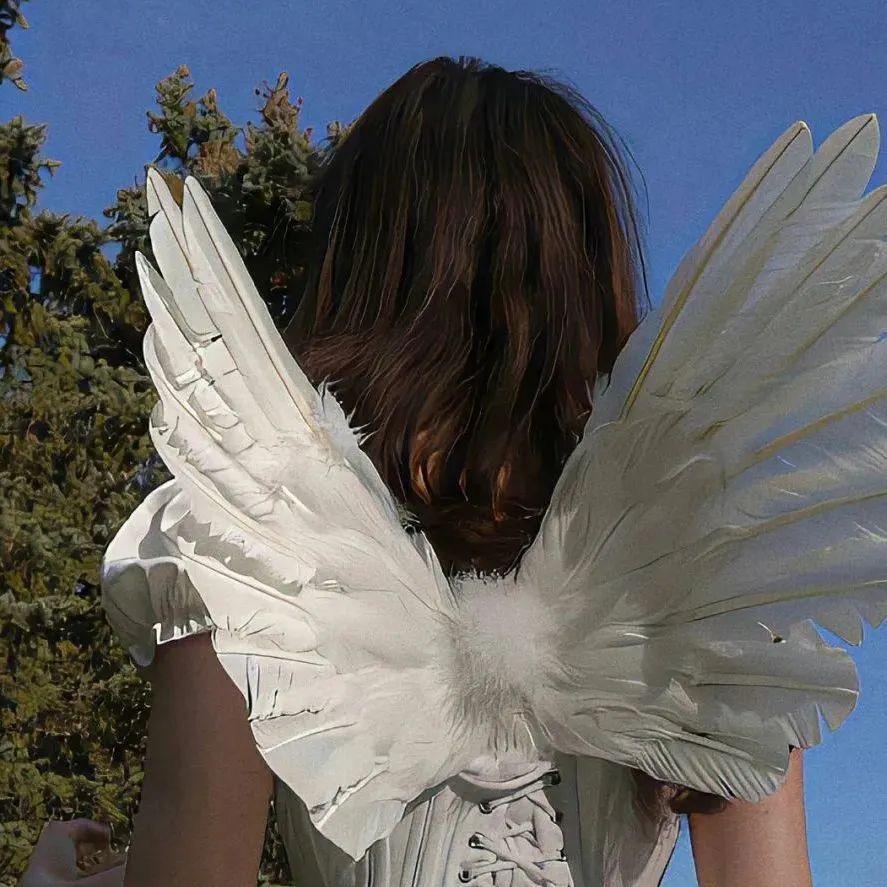 如果可以看到自己