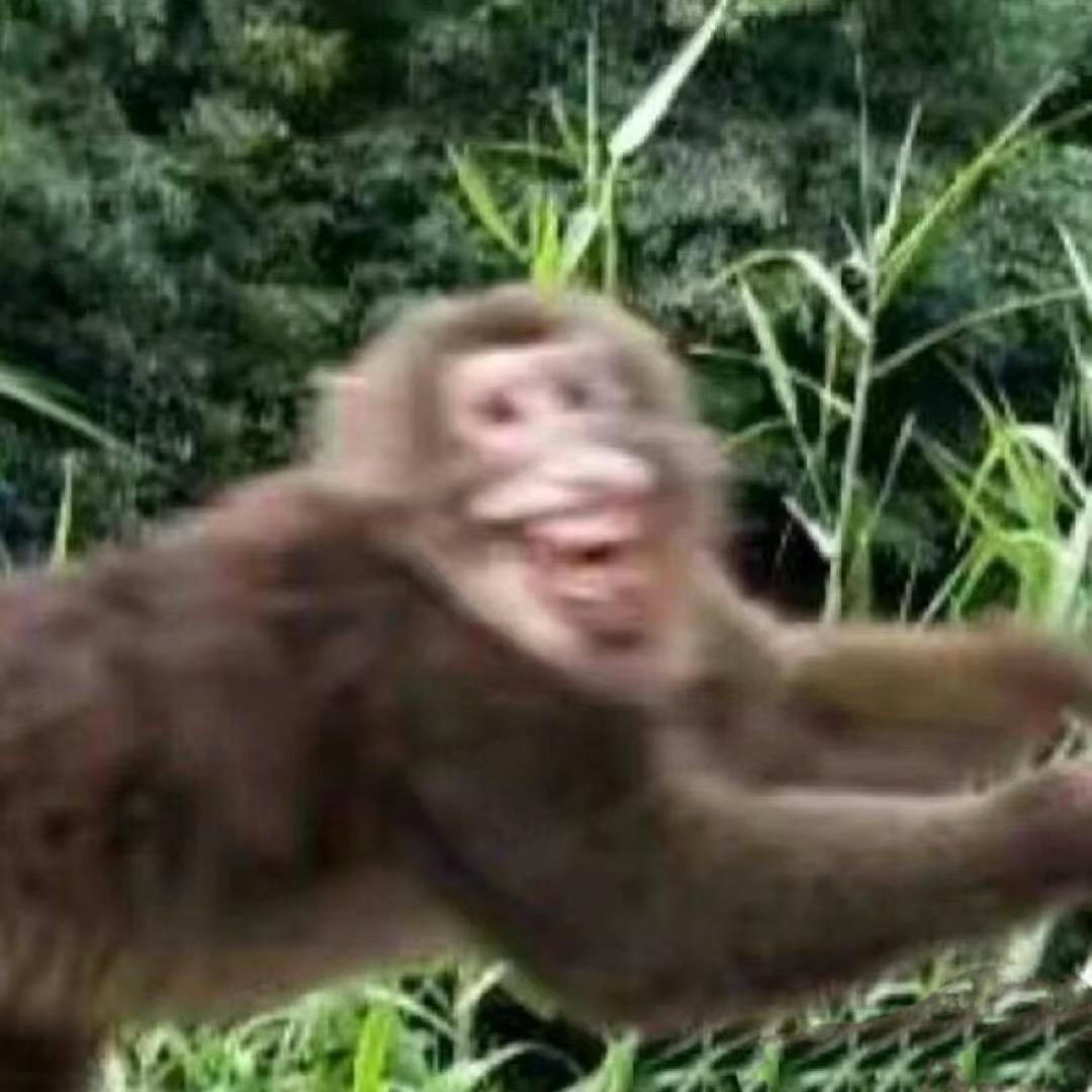 王世佳