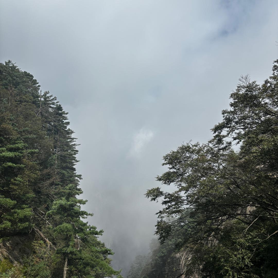 闭上眼行万里路