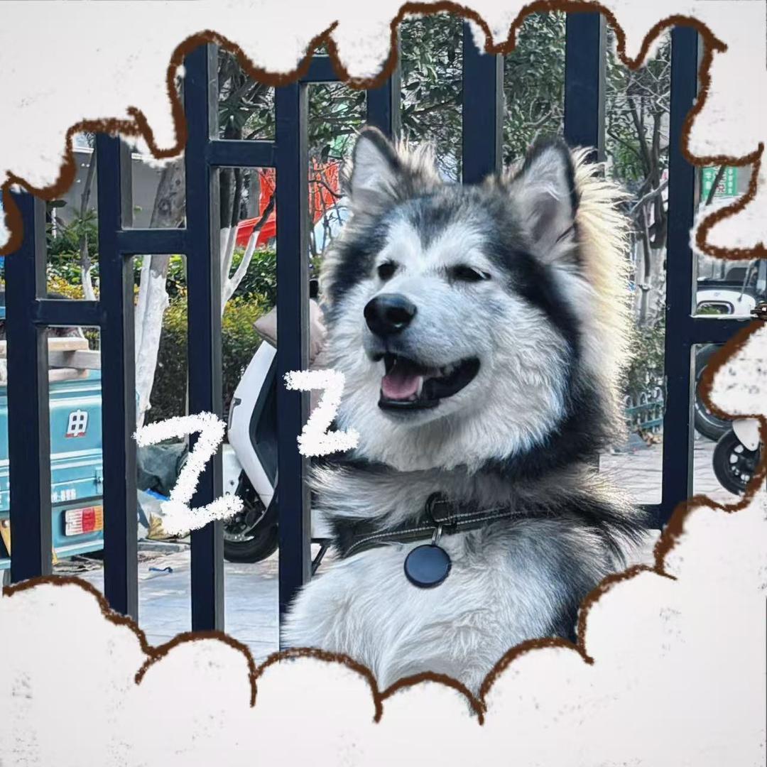 舜华海天汽车养护