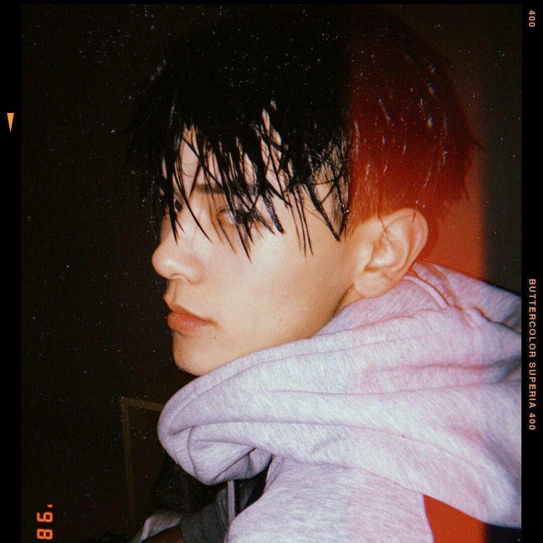 龙