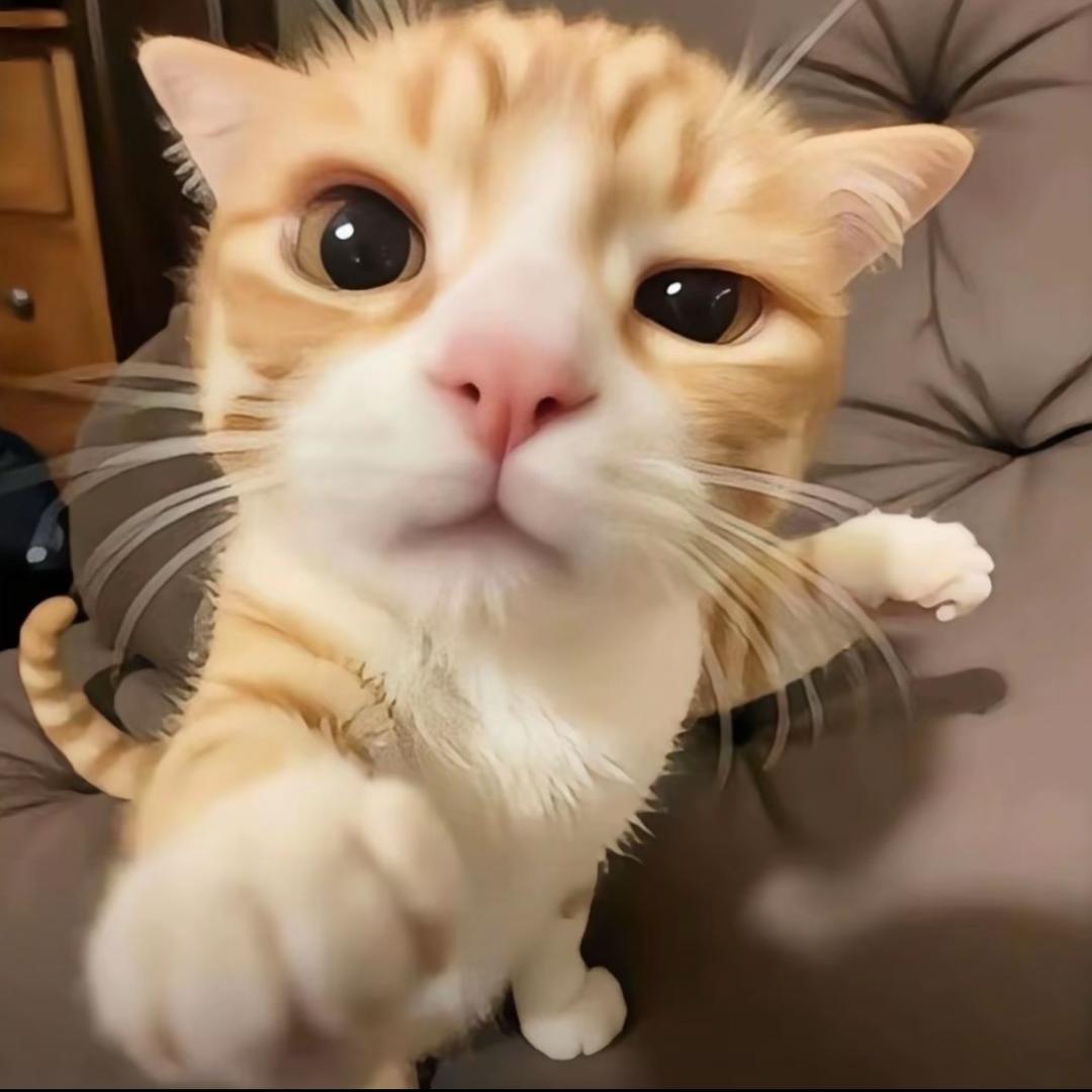 交运驾校陈教练