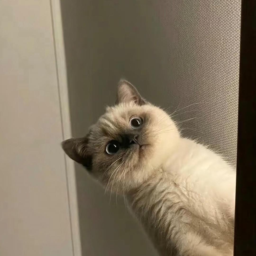 吊吊（无畏契约）