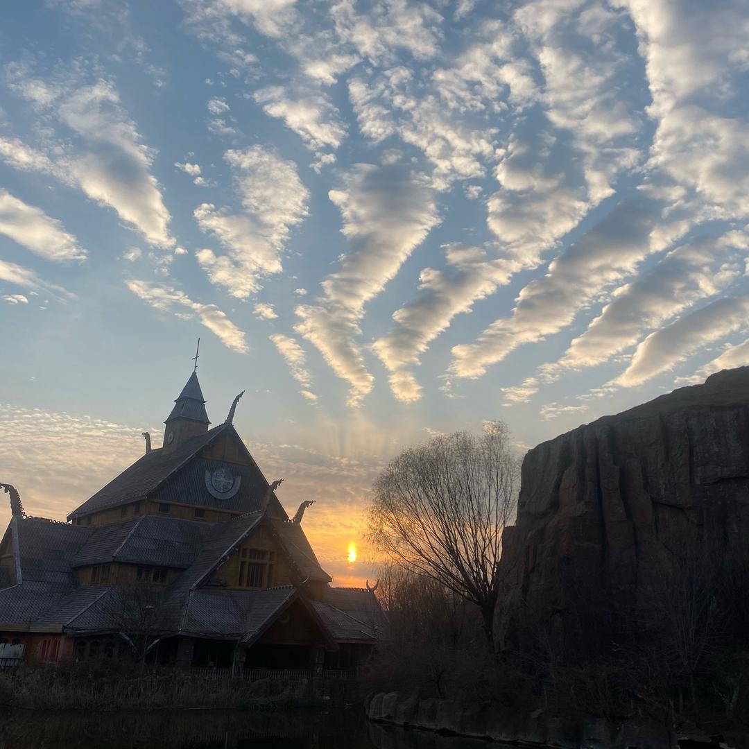 远离WD 负债前行