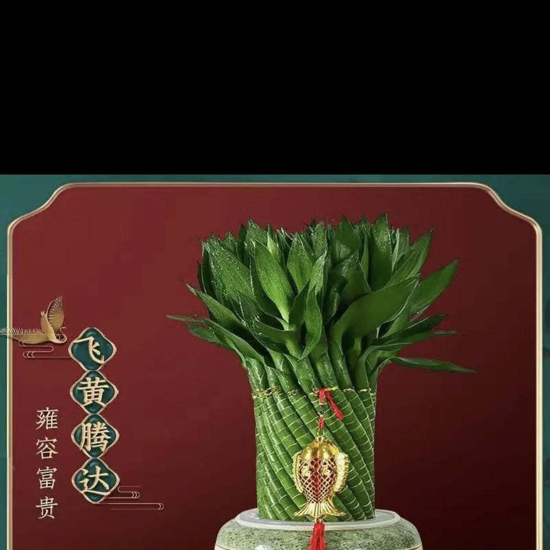 谜尚花屋