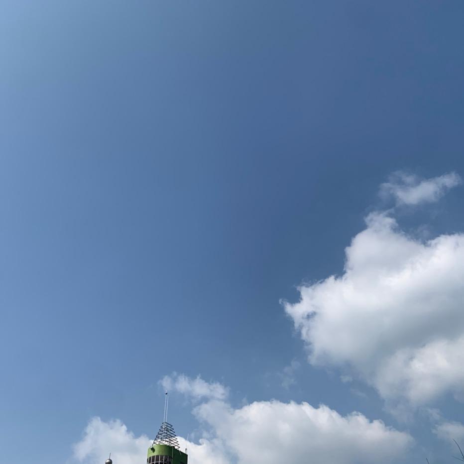 嫣然豆儿
