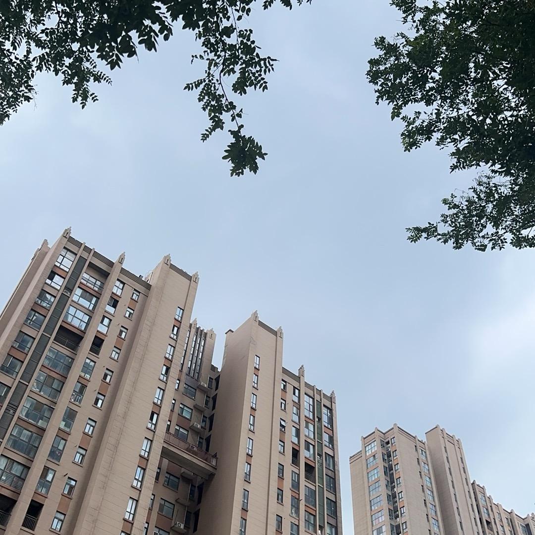 赤橙黄绿青蓝紫的黄