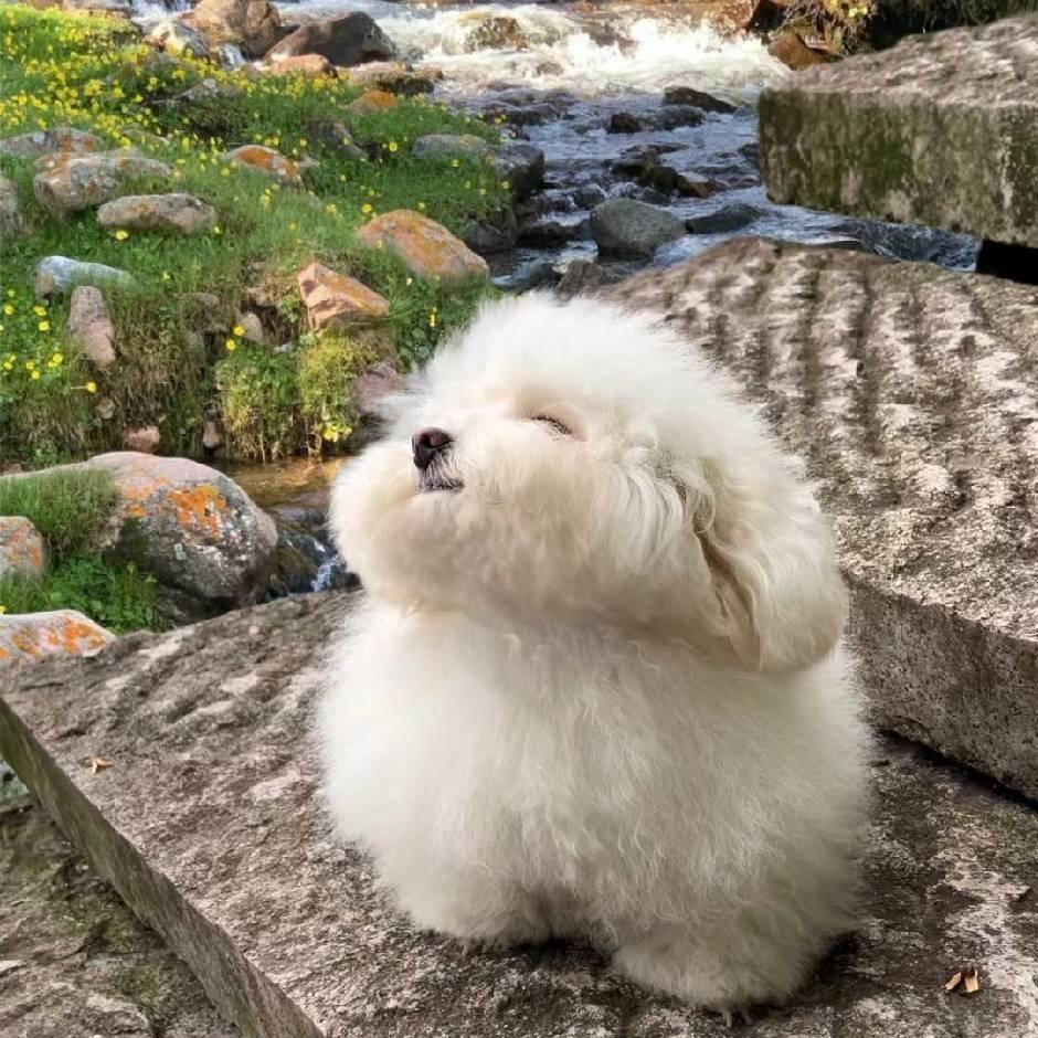 你压我腿毛了(新号版)