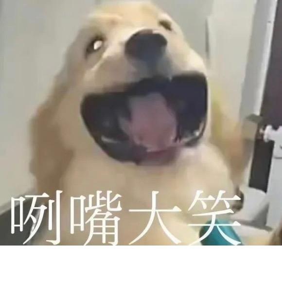 于明天停电
