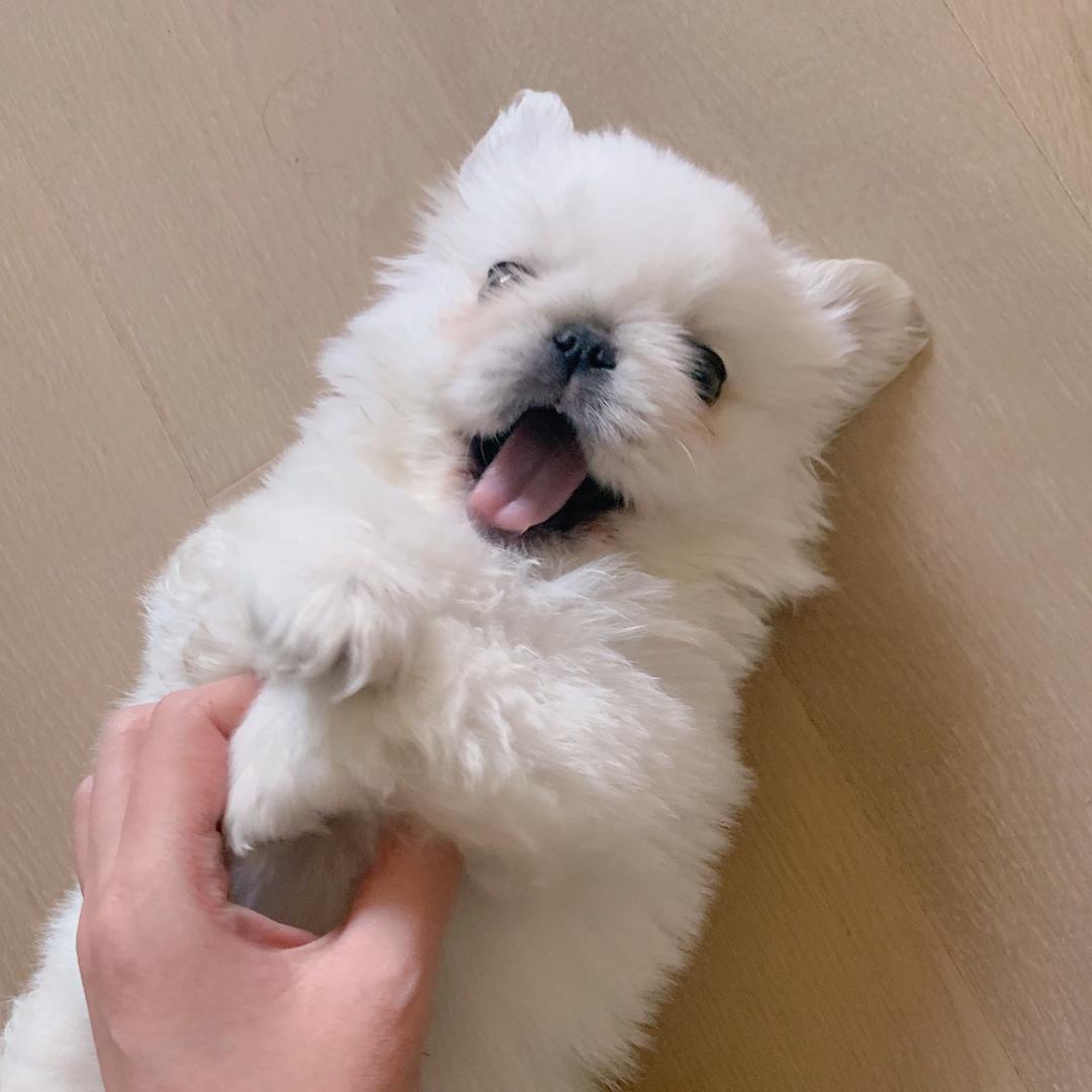 每天可乐✨