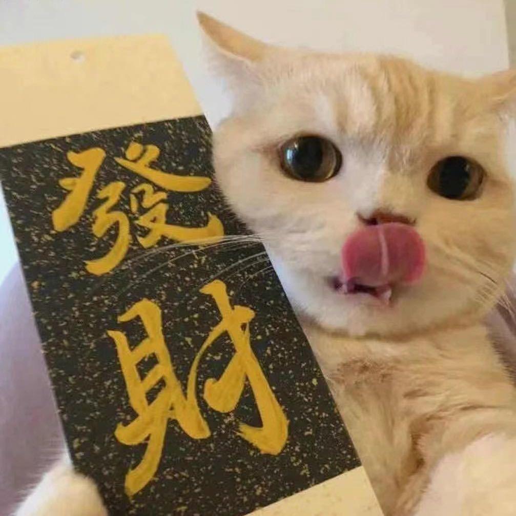 @柳小六（万般努力）