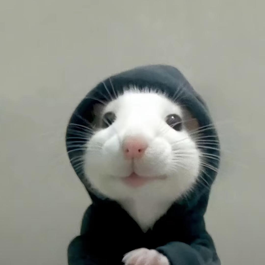 人间糖豆小百灵