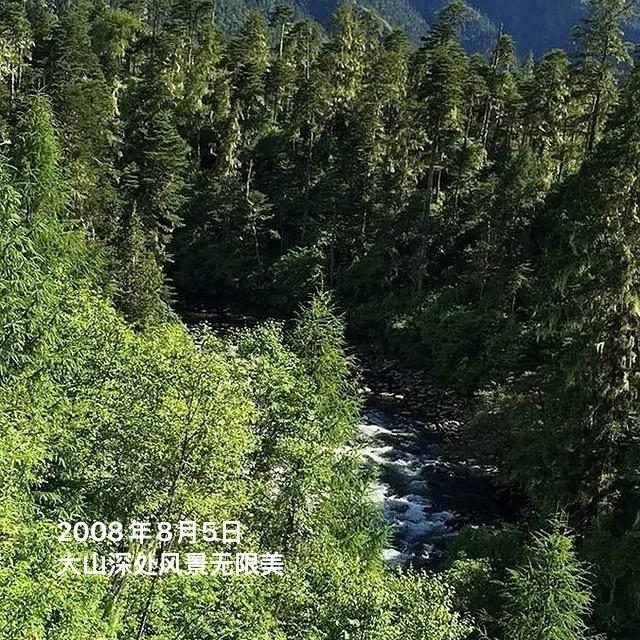 格宾网石笼网雷诺护垫景观石笼网边坡防护网