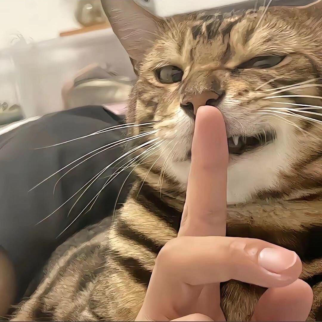 那首告别诗