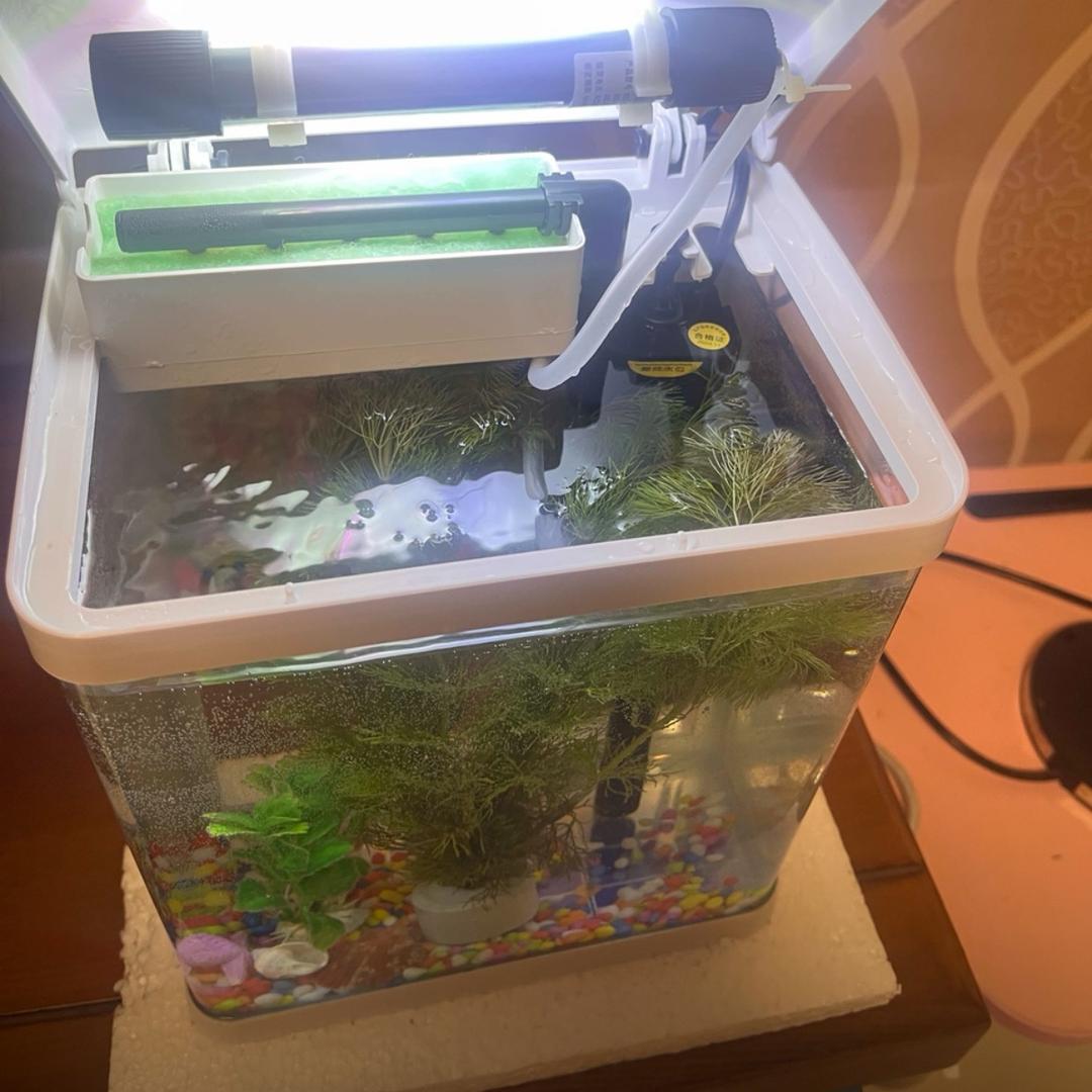 诚晨景鼎贸易-小召