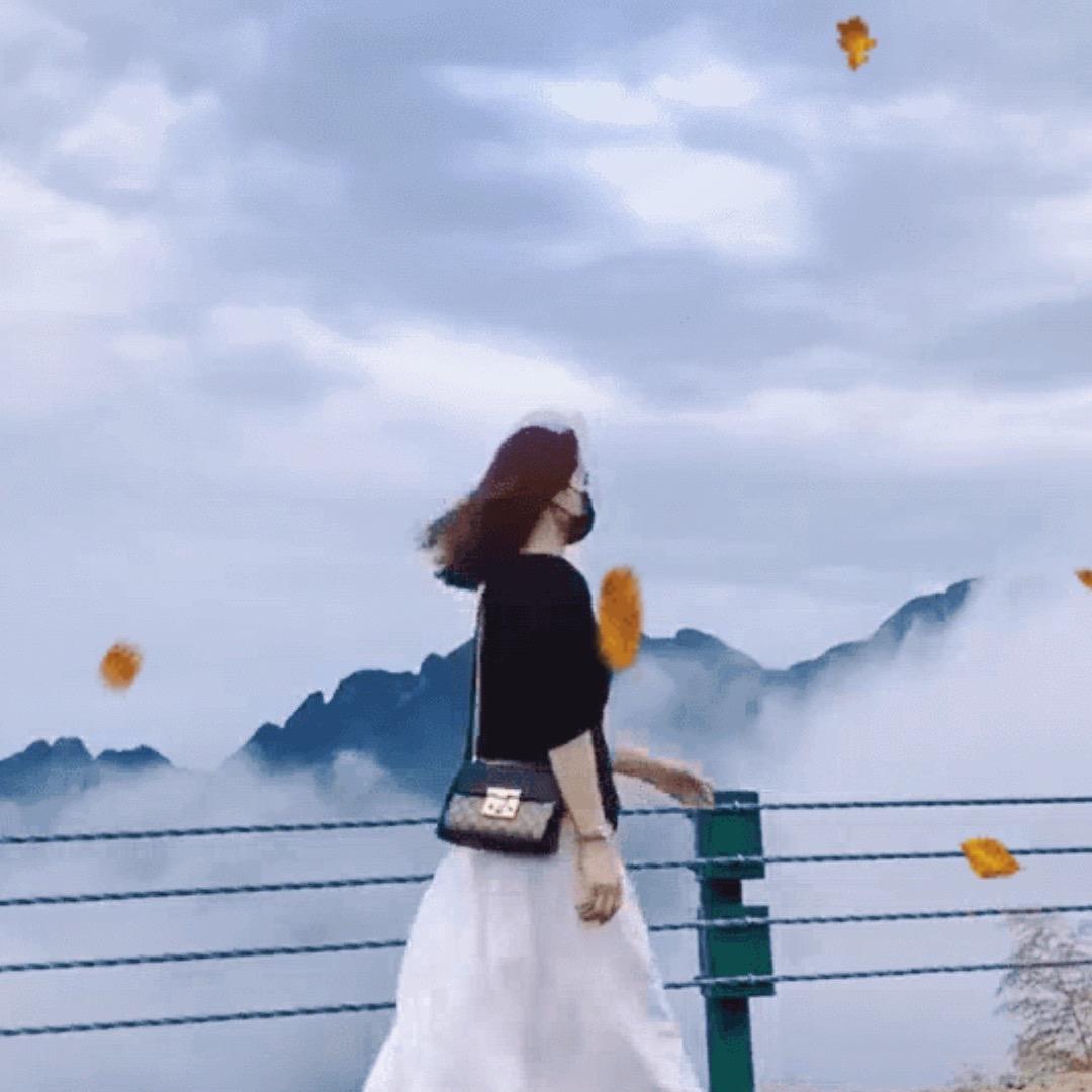 风铃🧚